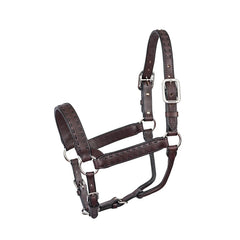 Buckstitch Horse Havana Black Leather Halter WSP