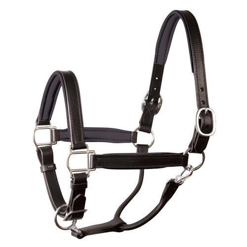 Perri's 1" Padded Leather Halter