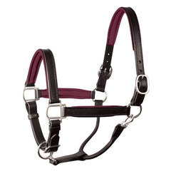 Perri's 1" Padded Leather Halter