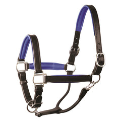 Perri's 1" Padded Leather Halter