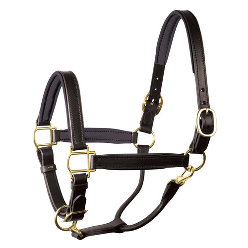 Perri's 1" Padded Leather Halter