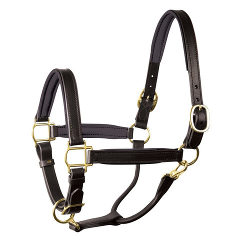 Perri's Buck Stitch Halter