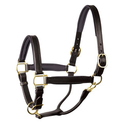 Perri's 1" Padded Leather Halter