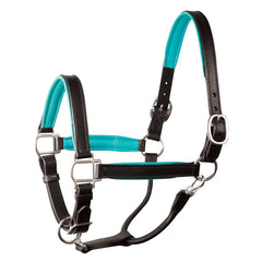 Perri's 1" Padded Leather Halter