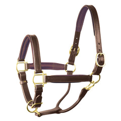 Perri's 1" Padded Leather Halter