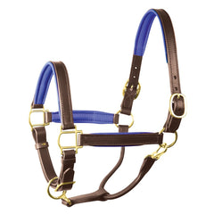 Perri's 1" Padded Leather Halter