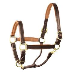 Perri's 1" Padded Leather Halter