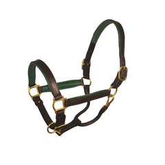 Perri's 1" Padded Leather Halter