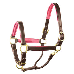 Perri's 1" Padded Leather Halter