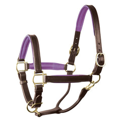 Perri's 1" Padded Leather Halter