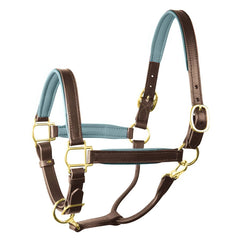 Perri's 1" Padded Leather Halter