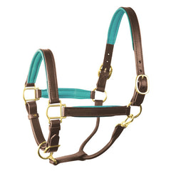 Perri's 1" Padded Leather Halter