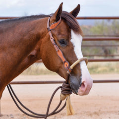 SS Basketweave Tooled One Ear Bosal Set