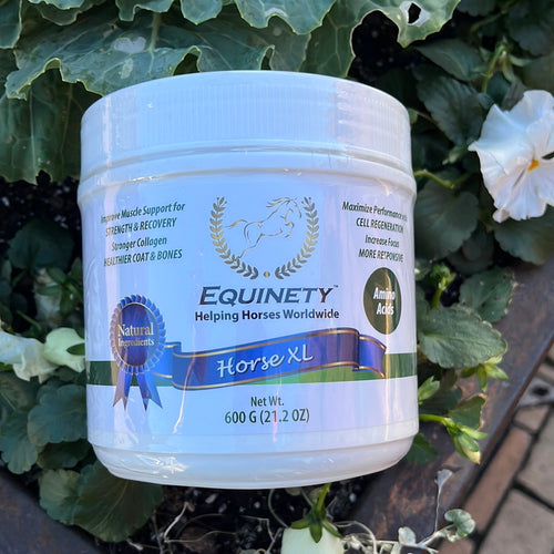Equinety Horse XL