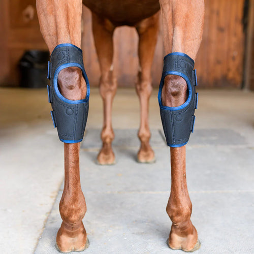 SS Magnetic Therapy Hock Wraps