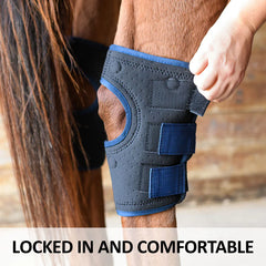 SS Magnetic Therapy Hock Wraps
