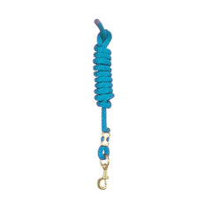 Perri's Nylon Lead w/ Snap