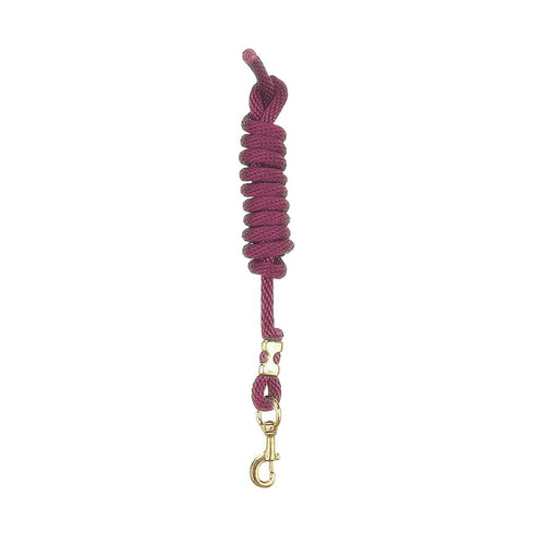 Burgundy Nylon Lead w/Snap WSP