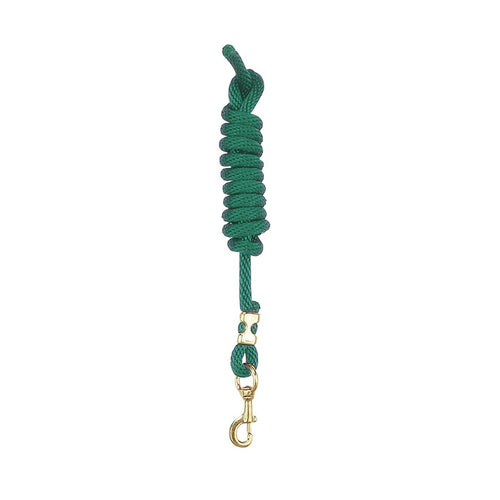 Hunter Green Nylon Lead w/Snap WSP