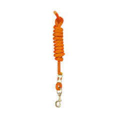 Perri's Nylon Lead w/ Snap