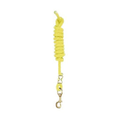 Perri's Nylon Lead w/ Snap