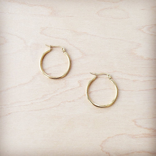 Small Stainless Steel Hoop Earrings 18K Gold Plating 219a