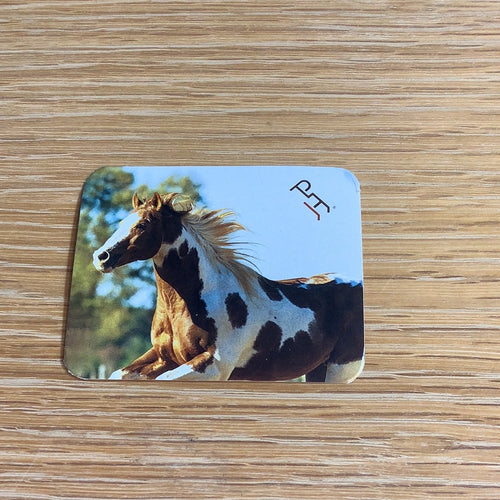 Running Paint Horse Sticker