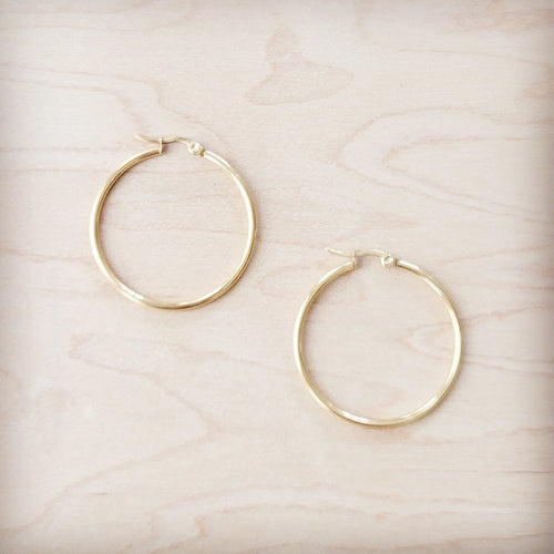 Medium Stainless Steel Hoop Earrings 18K Gold Plating 219b