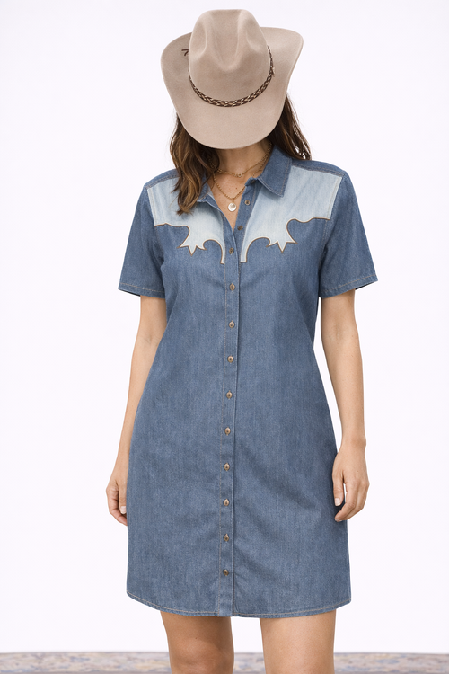 C&C - Saddle Sweetheart Dress