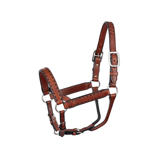 Buckstitch Cob Chestnut Black Leather Halter WSP