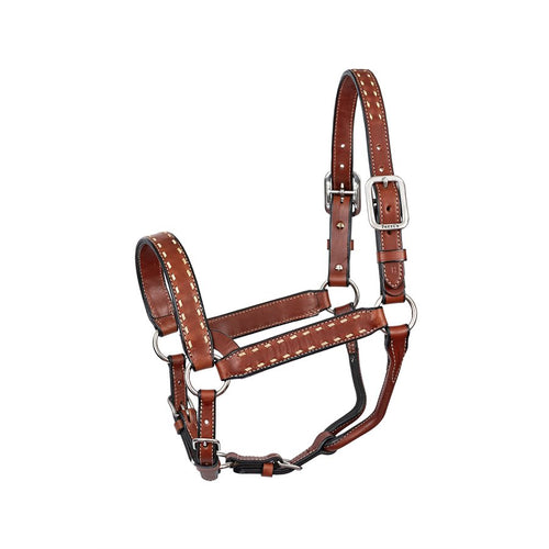 Buckstitch Cob Chestnut White Leather Halter WSP