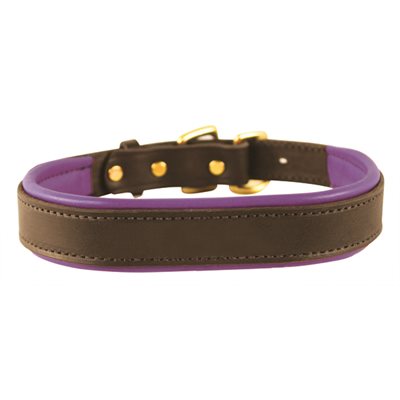 Perris Havana Padded Leather Dog Collar