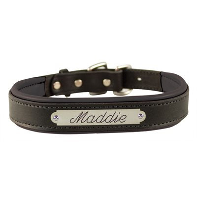 Perri's Padded Leather Dog Collar w/ Plate