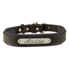 Perri's Padded Leather Dog Collar w/ Plate