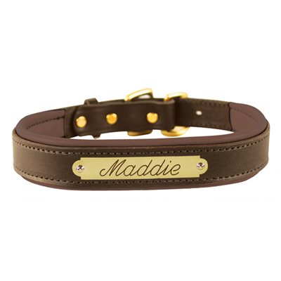 Perri's Padded Leather Dog Collar w/ Plate