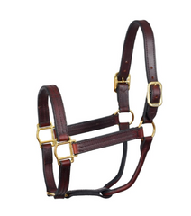 Perri's Heavy Weight Track Halter