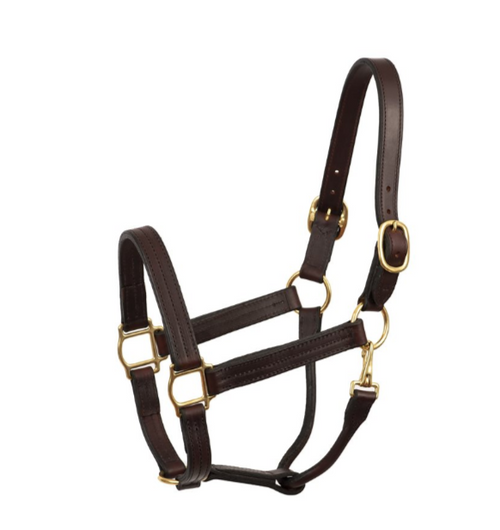 Perri's Heavy Weight Track Halter