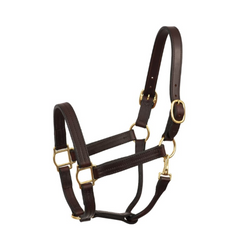 Perri's Heavy Weight Track Halter