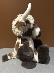Piccoli Longhorn