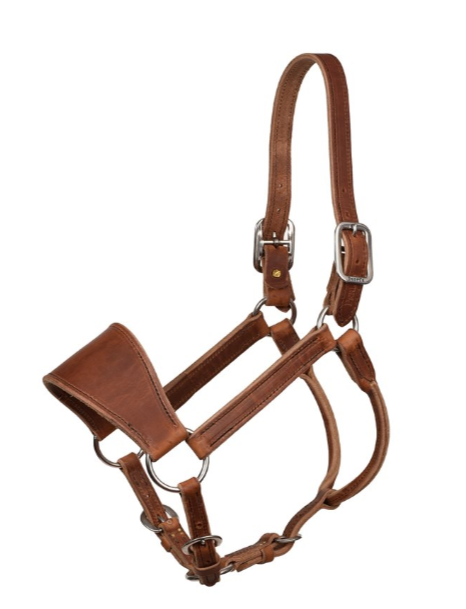 PERRI'S LEATHER RANCH HALTER - HORSE SIZE