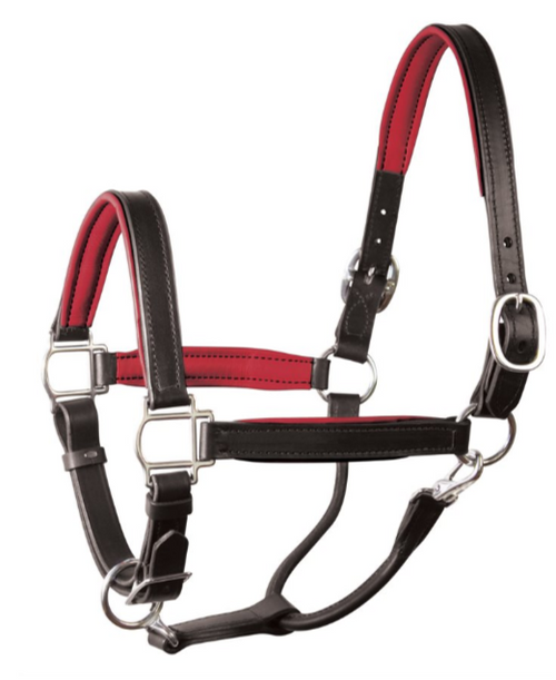 Perri's 1" Padded Leather Halter No Plate