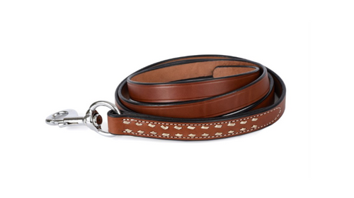 Buckstitch Chest w/ White w/ Snap Lead WSP