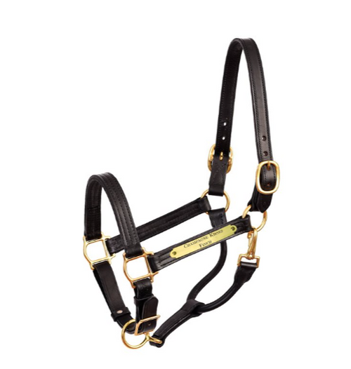 Perri's Premium 1" Leather Show Halter with Plate