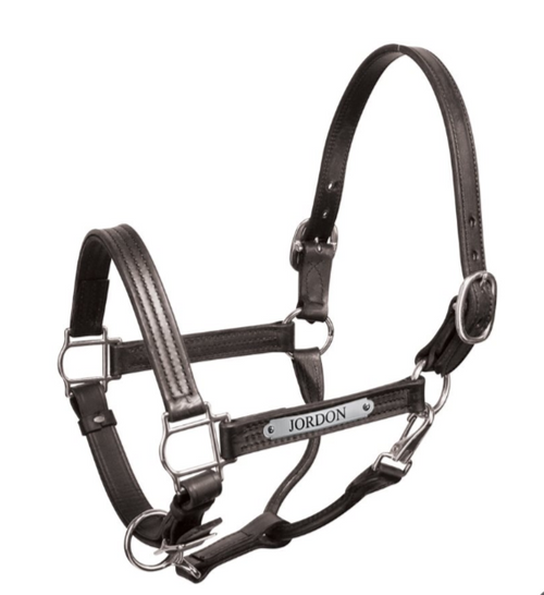 Perri's Premium 1" Leather Show Halter with Plate