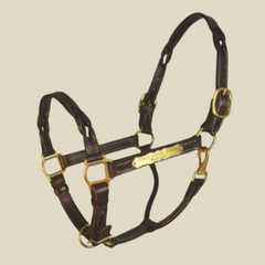 Perri's Twisted Leather Halter With Plate