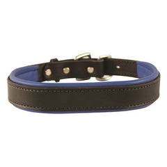 Perris Black Padded Leather Dog Collar