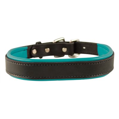 Perris Black Padded Leather Dog Collar