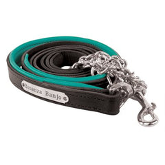 Perri's Padded Leather Lead with Plate