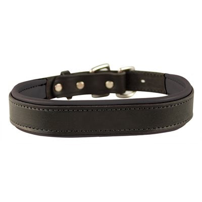 Perris Black Padded Leather Dog Collar