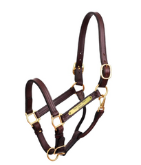 Perri's Premium 1" Leather Show Halter with Plate